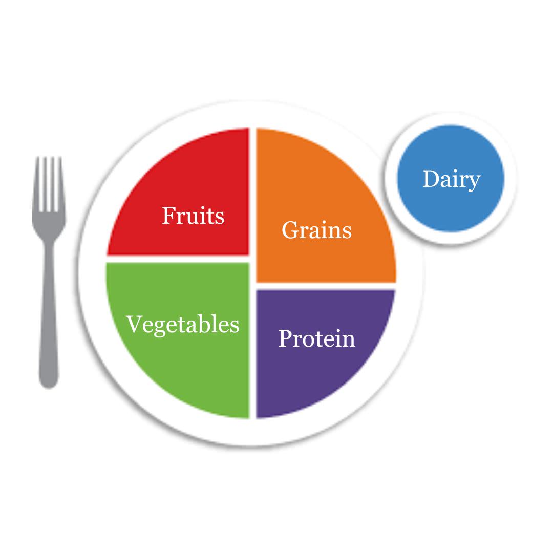Place setting with food groups sections