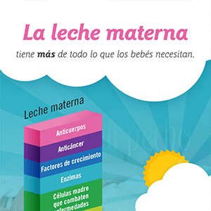 Los Componentes de la Leche Materna